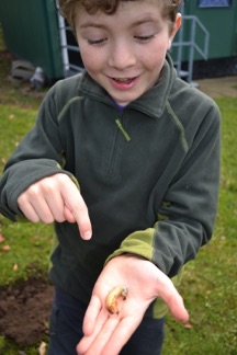 Boy holding a bug